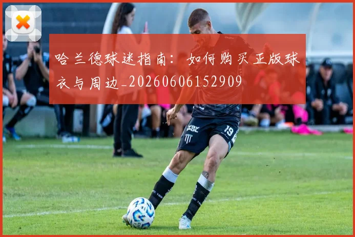 哈兰德球迷指南：如何购买正版球衣与周边_20260606152909