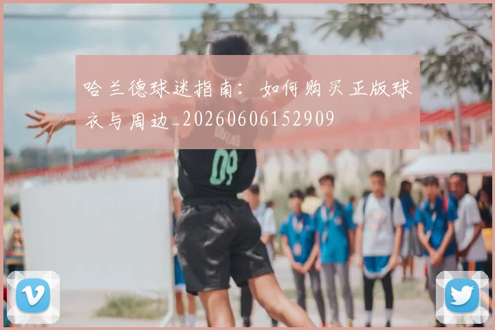 哈兰德球迷指南:如何购买正版球衣与周边_20260606152909